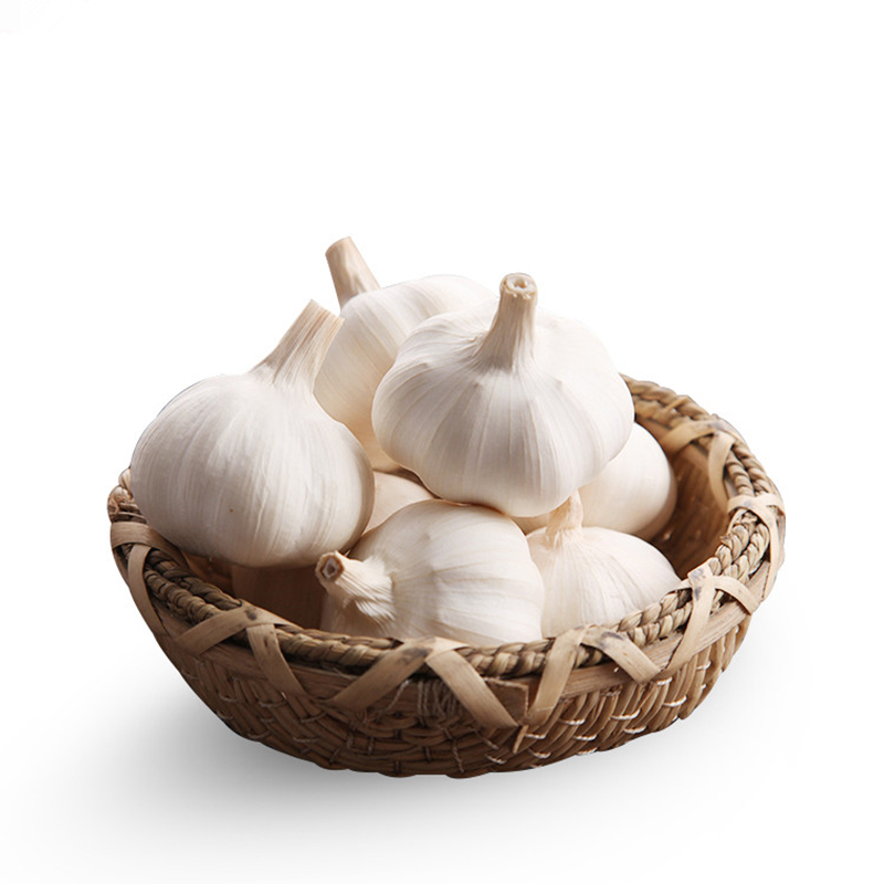 Newest White Garlic With Good Price