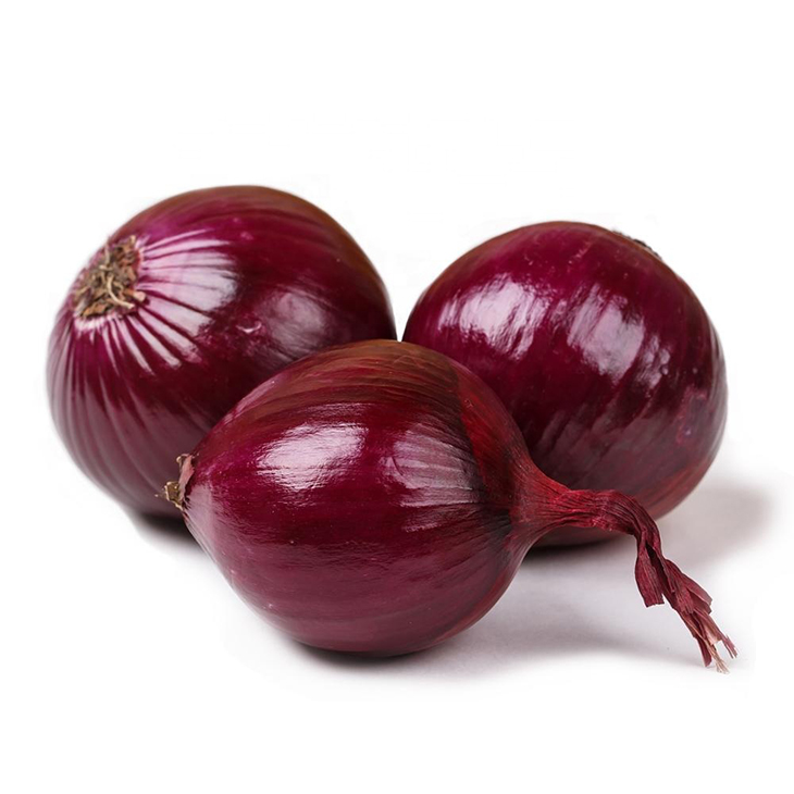 High Export Quality Fresh Onion