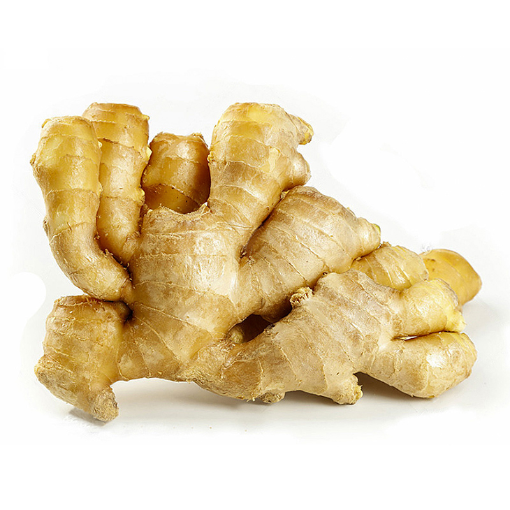 Fresh New Crop Ginger With Global Gap