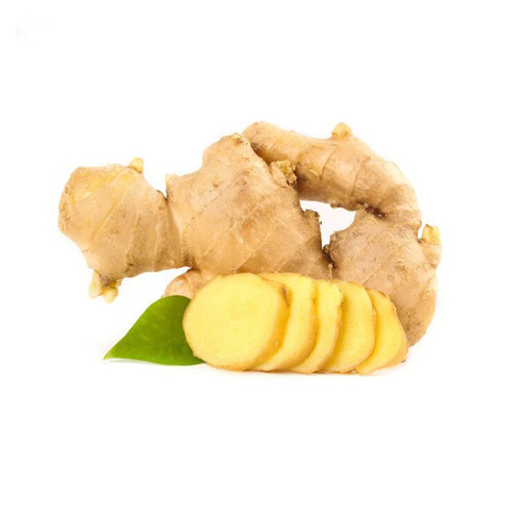 High Quality Fresh Ginger Ginger Fresh Bulk Fresh Ginger