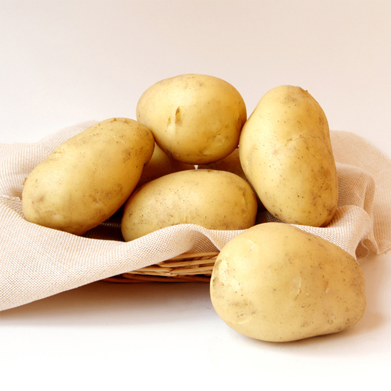 200-300g Fresh Premium Quality Potato