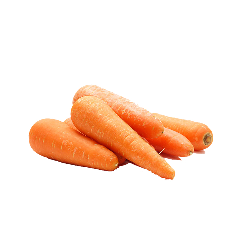 Promotional Export Natural New Harvest Hot Selling Good Chinese Fresh Carrot
