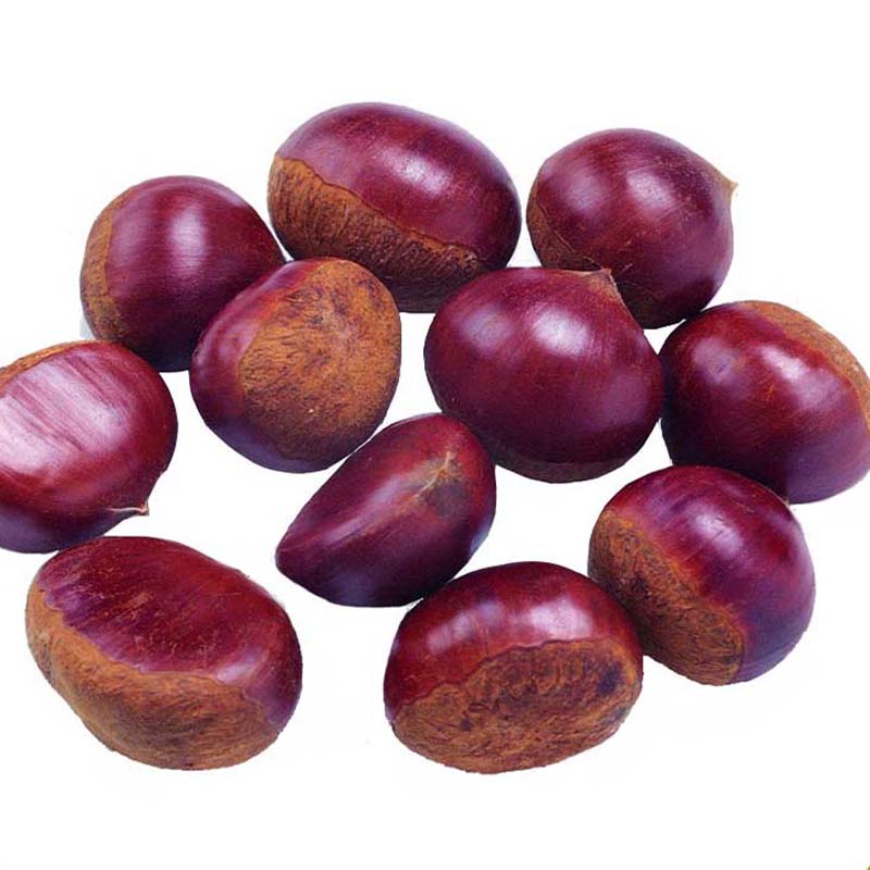 Fresh Wholesale Chinese Chestnut