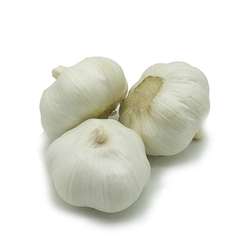 5.5cm Normal White Garlic