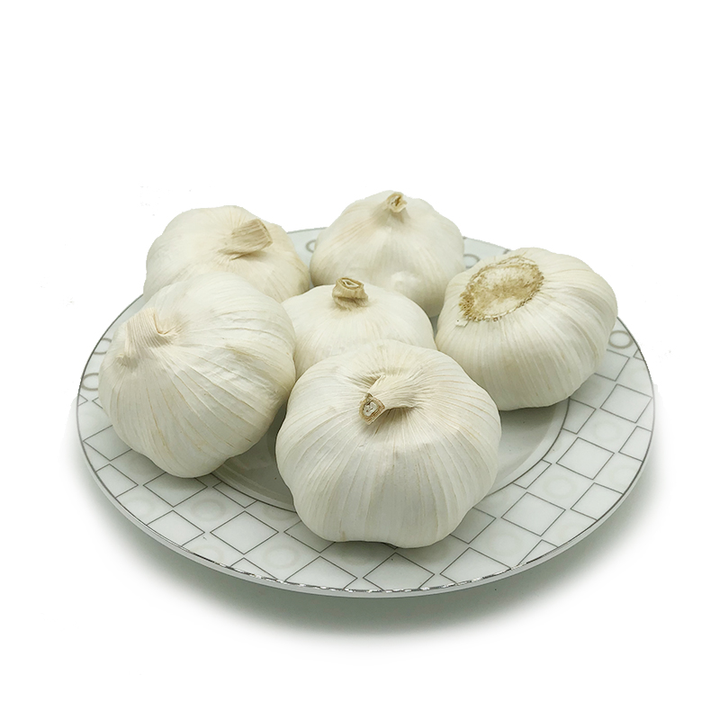 Normal White Garlic 3p Bag Small Packing