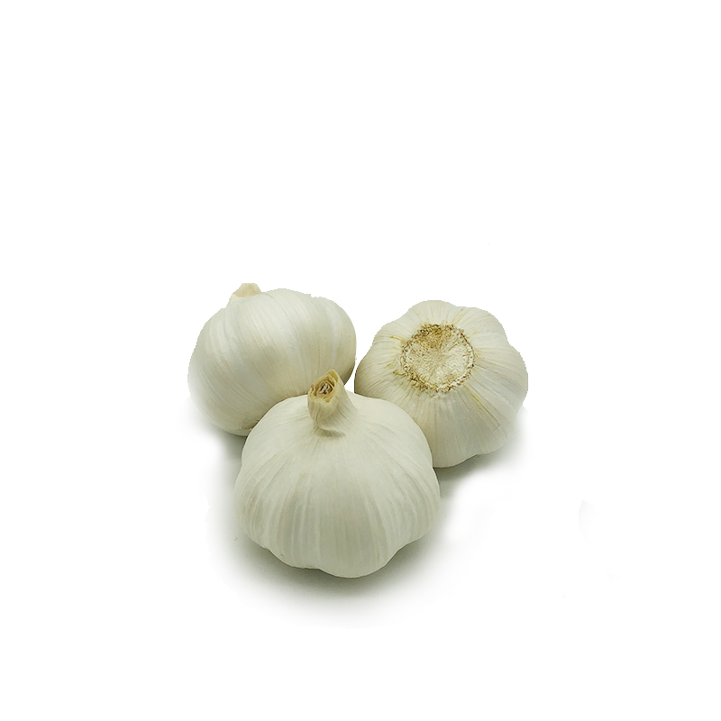 Normal White Garlic 4.5cm 0.5lb Packing