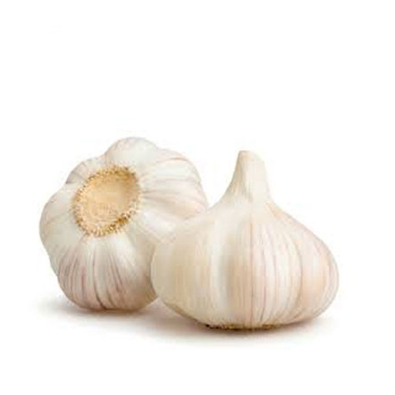 pure white garlic normal white garlic