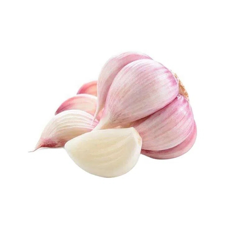 Latest White Garlic Shandong
