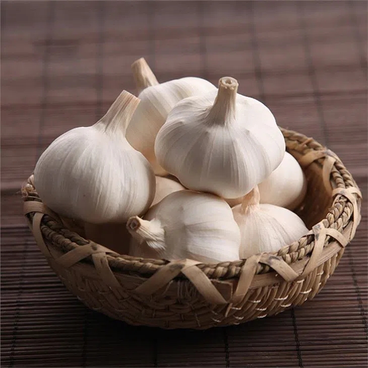 Organic Fresh Garlic For Exporting