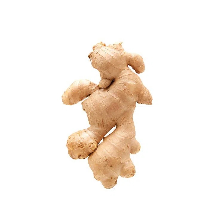 1kg Fresh Ginger Price