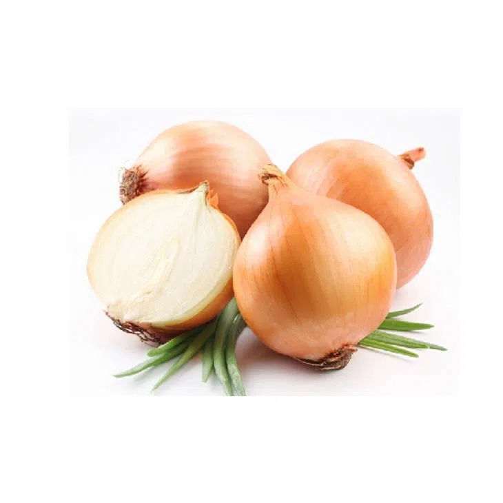 Fresh Onion / Yellow Onion From ShangDong Top Quality