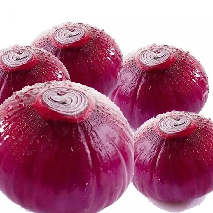Best Price Export New Crop Fresh Red Purple Onion For Sale