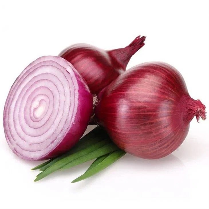 High Quality Red Fresh Onion/ShangDong Onion Bags At Export Price