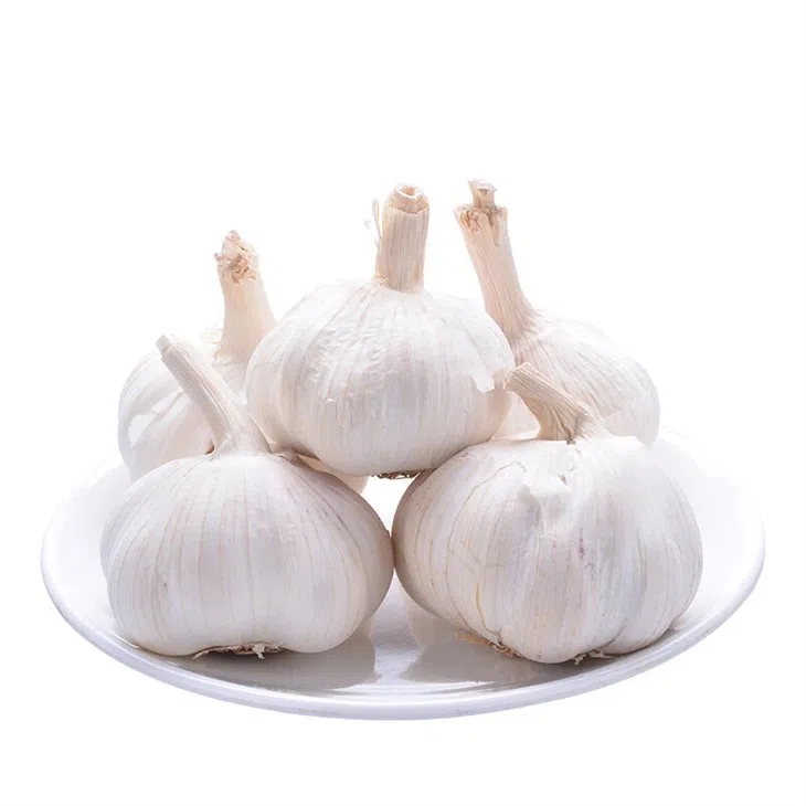 New Season Fresh Garlic buy at a good price