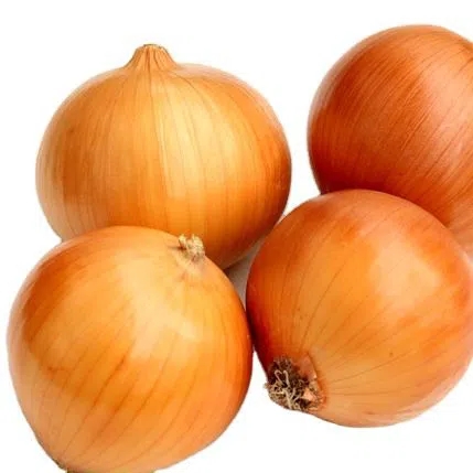 Fresh Yellow Onion