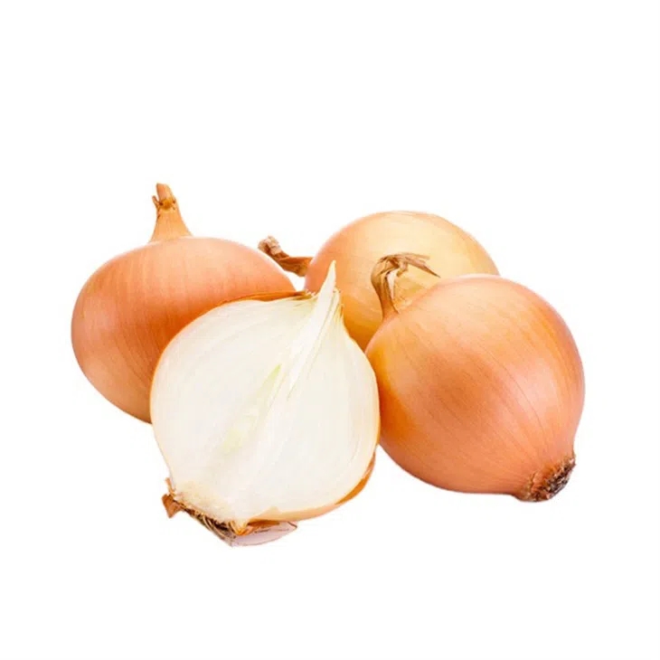 best quality onion in the world