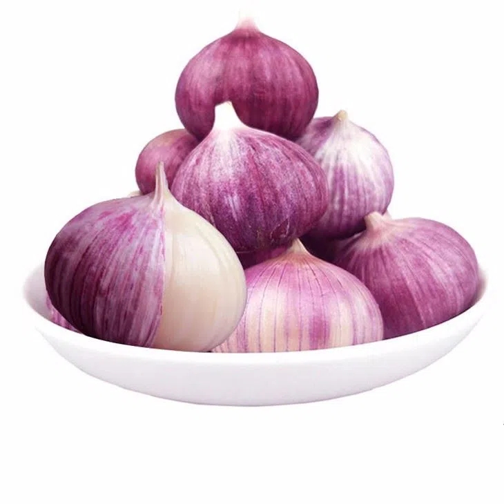 New Purple Garlic Pearl Purple Solo Garlic