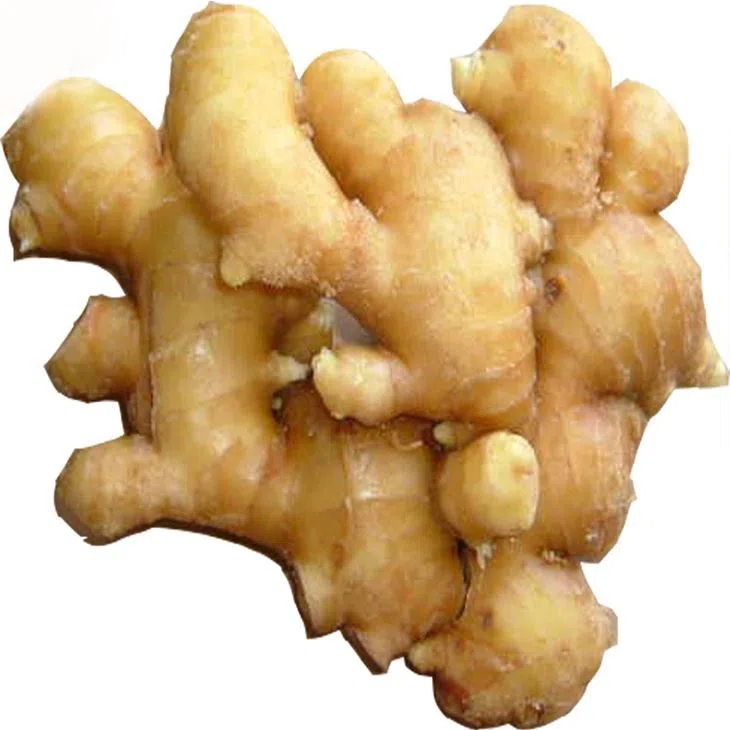 organic fresh ginger costco supplier