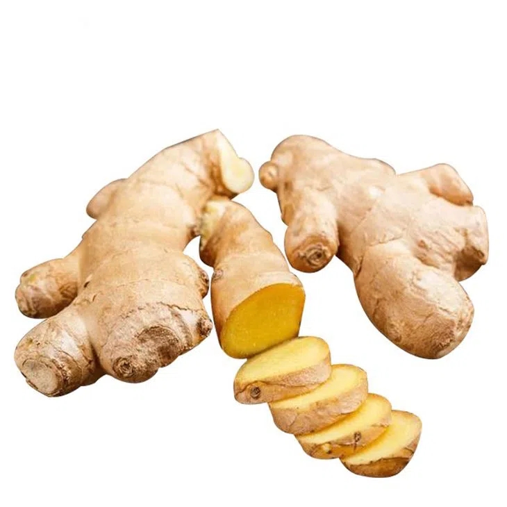 Farm Planting Naturally Planted Carefully Selected Ginger