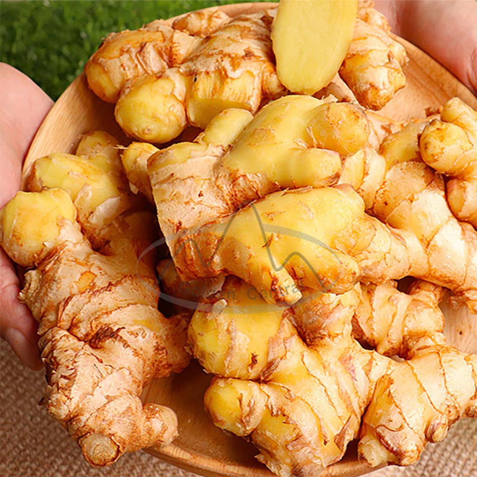 New Arrival!!! - Fresh Air Dried Ginger