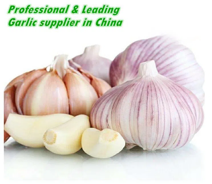 202009231540294ad3df2c8bf843c8a39249ef184e1bbe