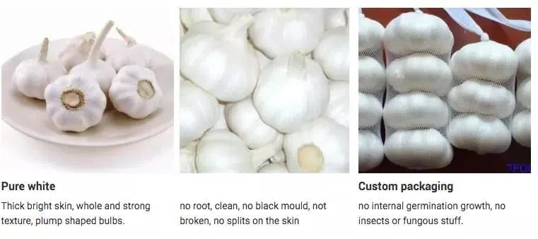 Ube4875d533724a41bb74953482ca9ac30.png_ (1)