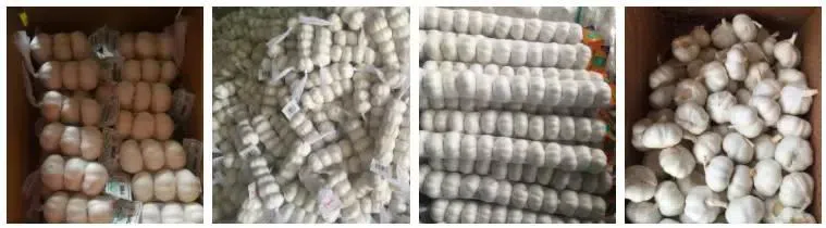 U1099331514654cd09b9ead20e18f68738.png_