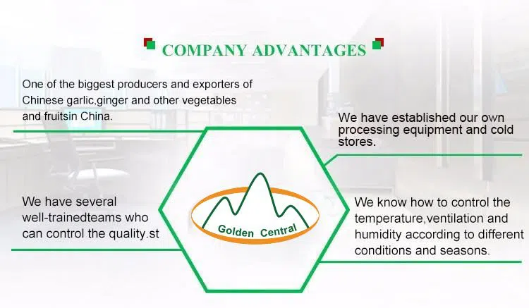 2020110411511148977a4f3902404b84df033c0b362b1a